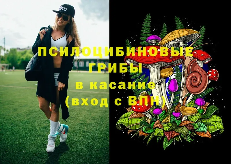 Псилоцибиновые грибы Magic Shrooms  hydra как зайти  Богданович  купить  сайты 